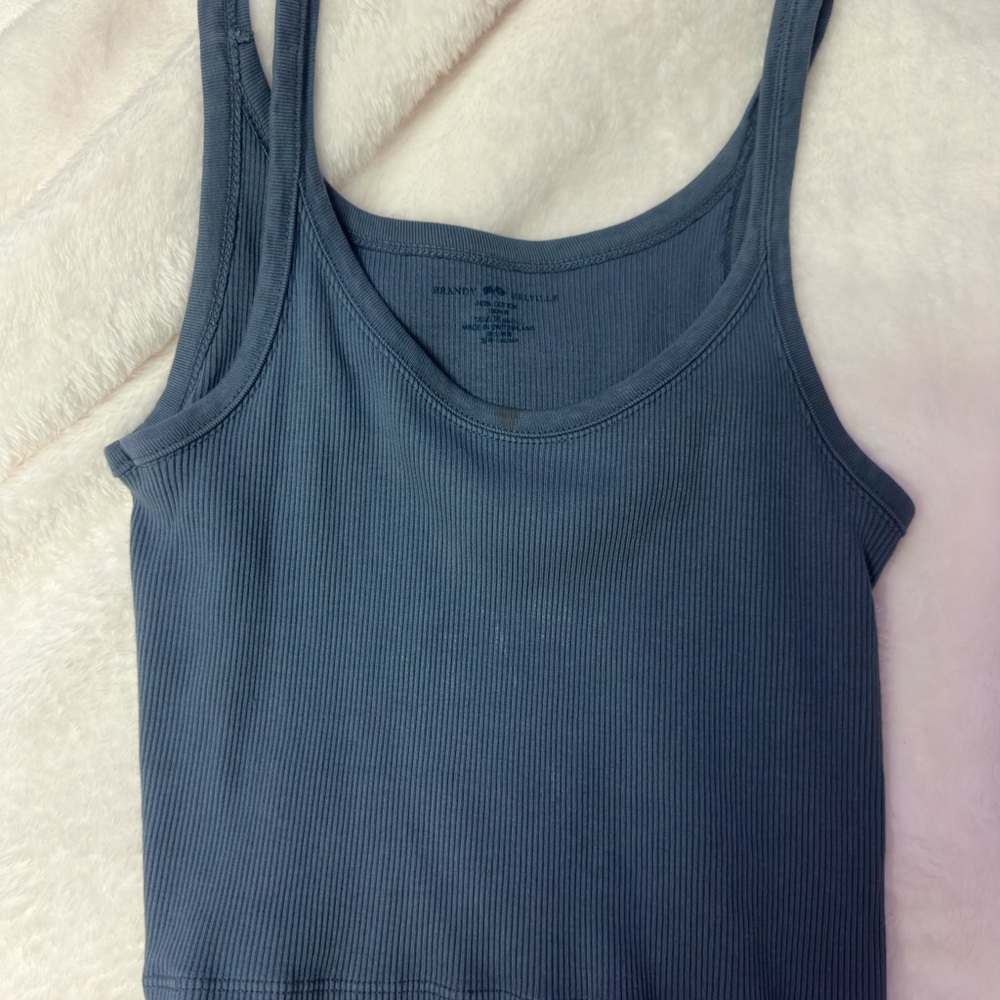 Brandy Melville Blue Crop Top